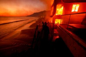 Igniting Inquiry: The Impact of Wildfires on Marine Ecosystems